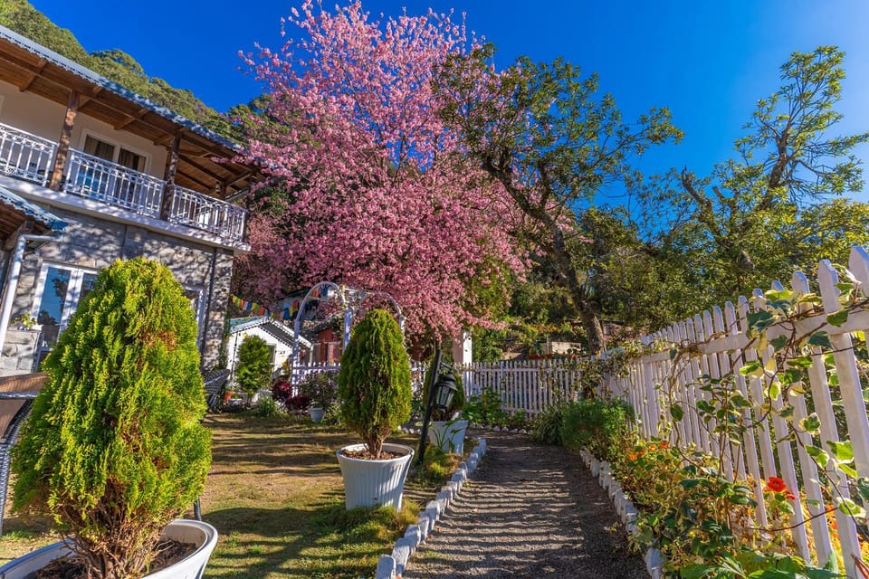 Garden, Garden view