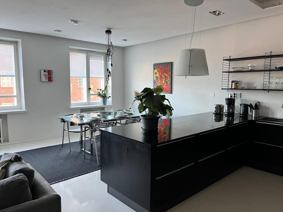 Luxurious 85m2 Hakaniemi, Helsinki Center, Apartment Next to Metro Apartment in Helsinki