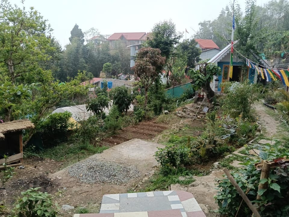 Phoenix Tiny Cottage Chalet in West Bengal