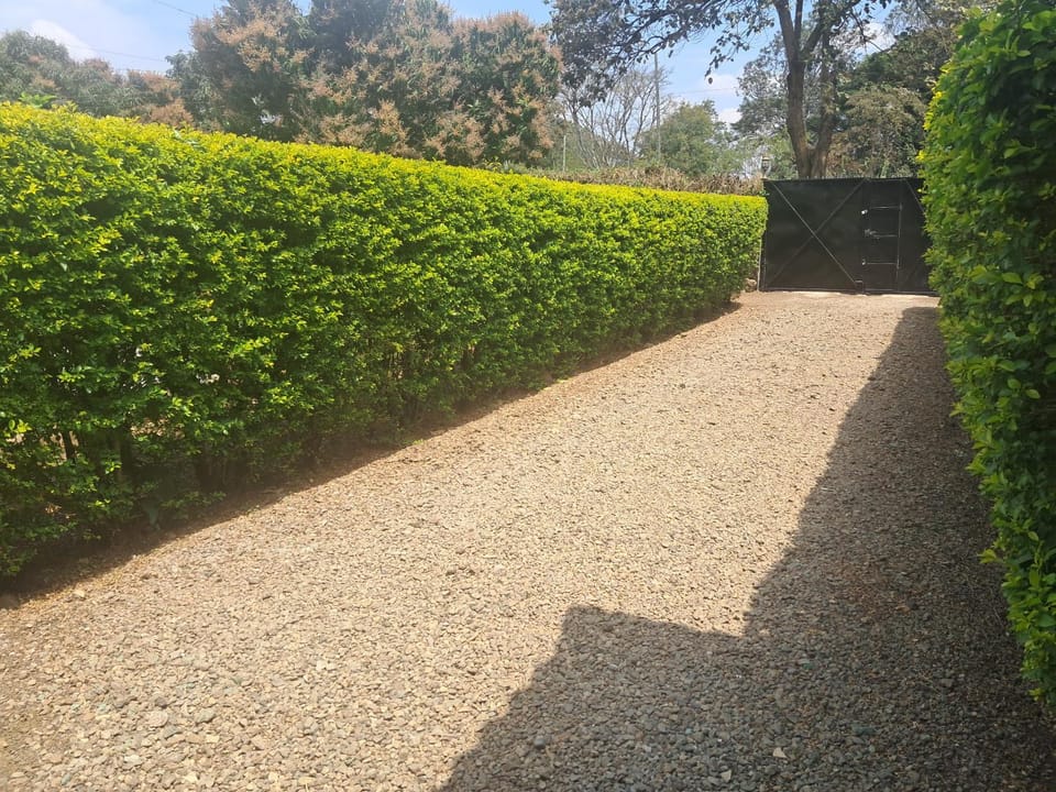 Natural landscape, Garden