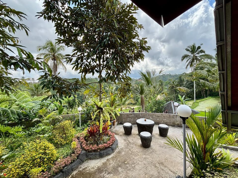 Patio, Spring, Day, Natural landscape, Garden, Garden view