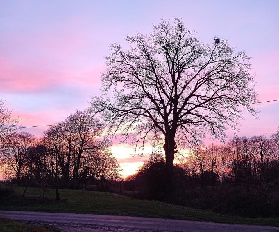 Natural landscape, Sunset