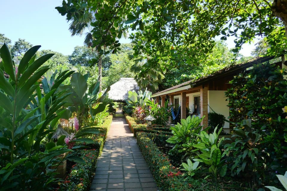 Garden view