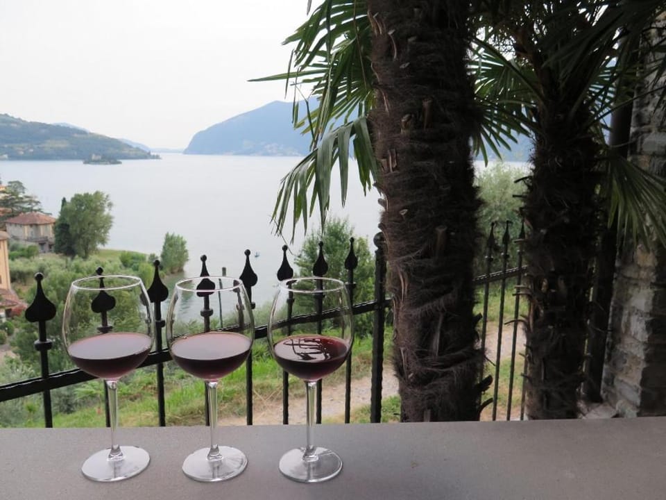 Balcony/Terrace, group of guests