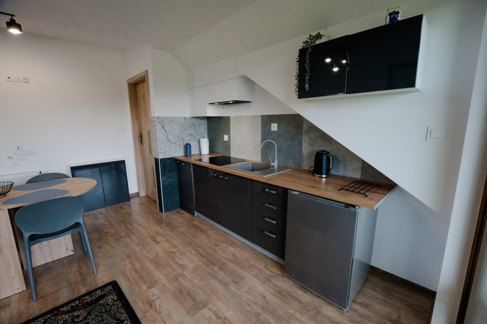 Kitchen or kitchenette, oven
