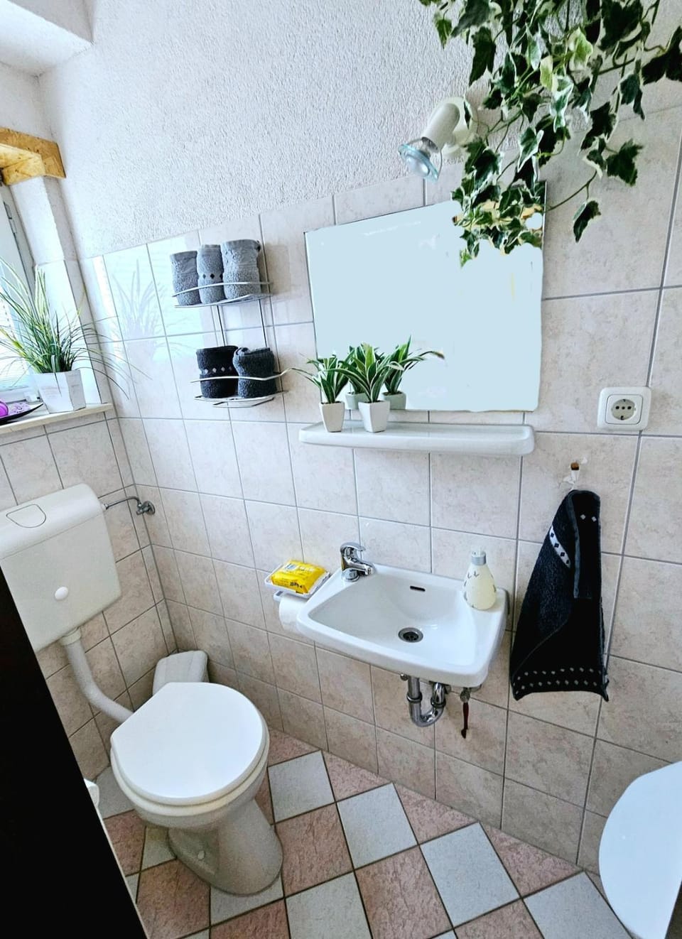 Toilet, Guests, towels