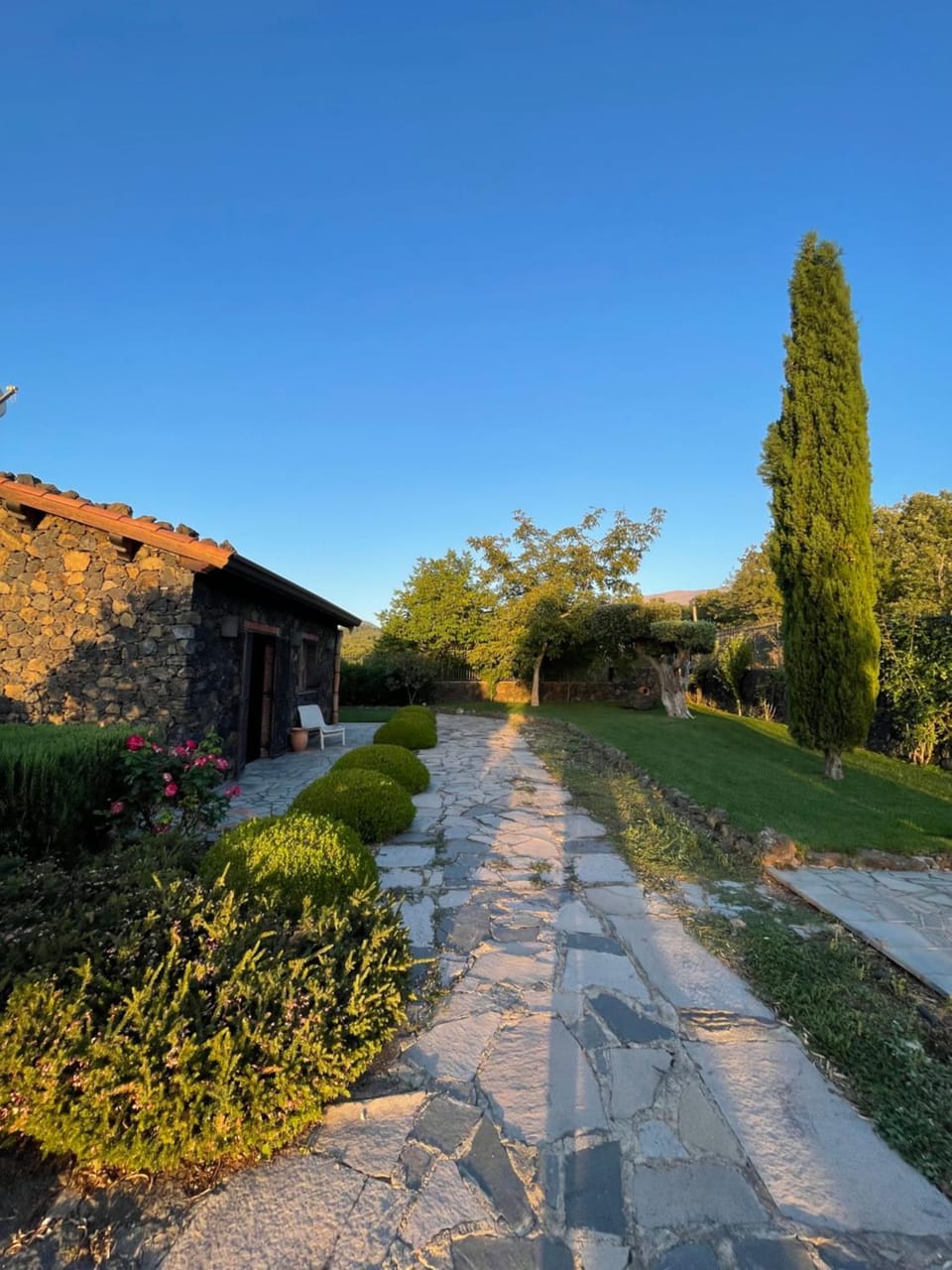 Garden view