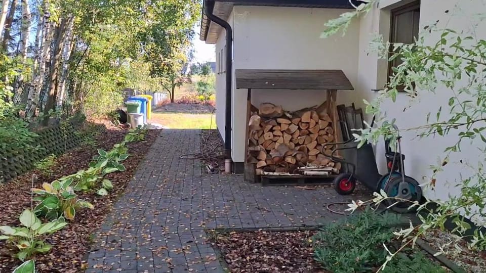 Day, Garden, Garden