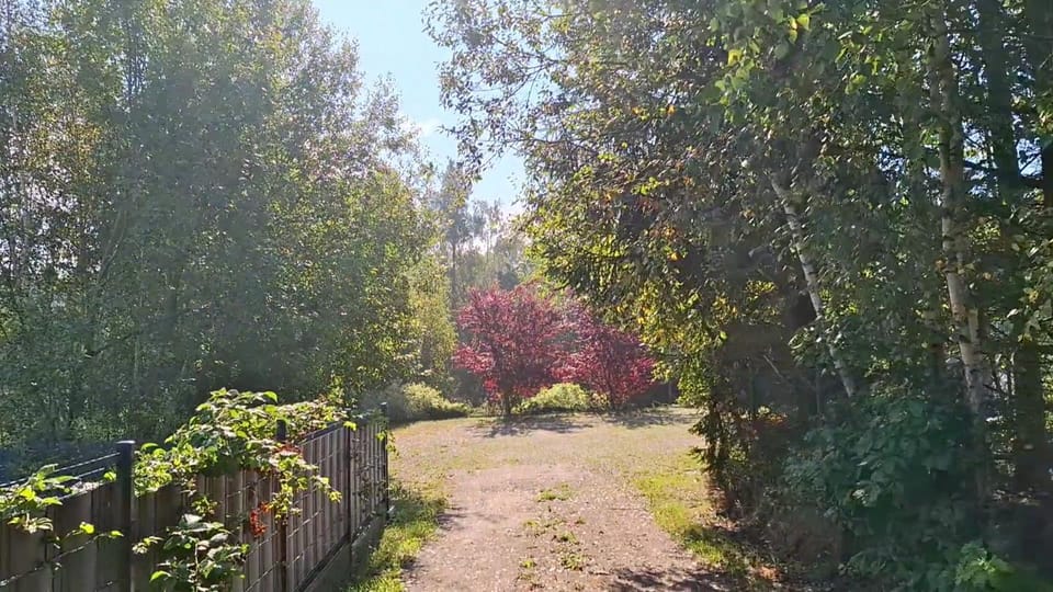 Day, Garden, Garden