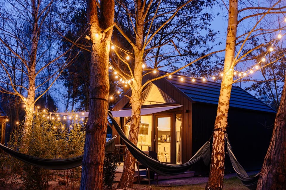 Property building, Night, Garden