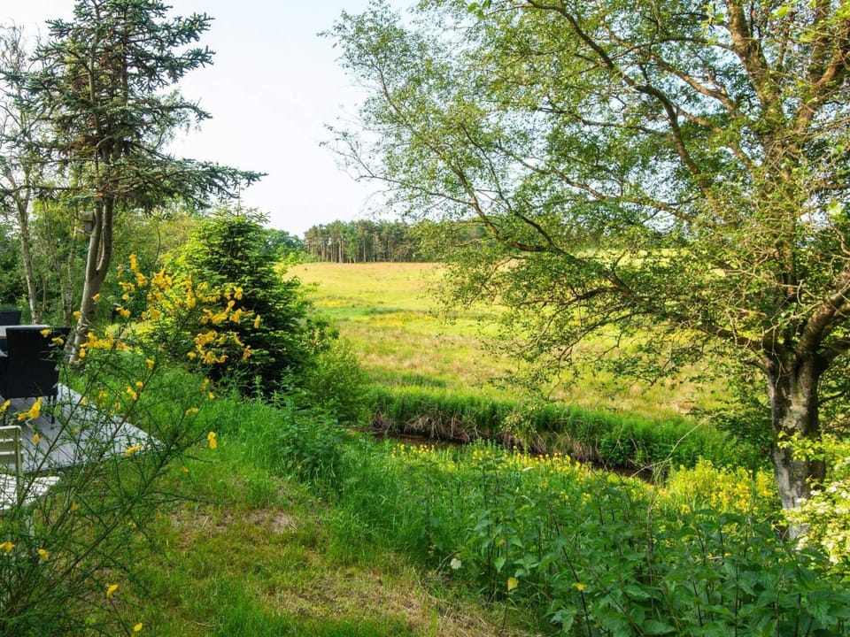 Lake view