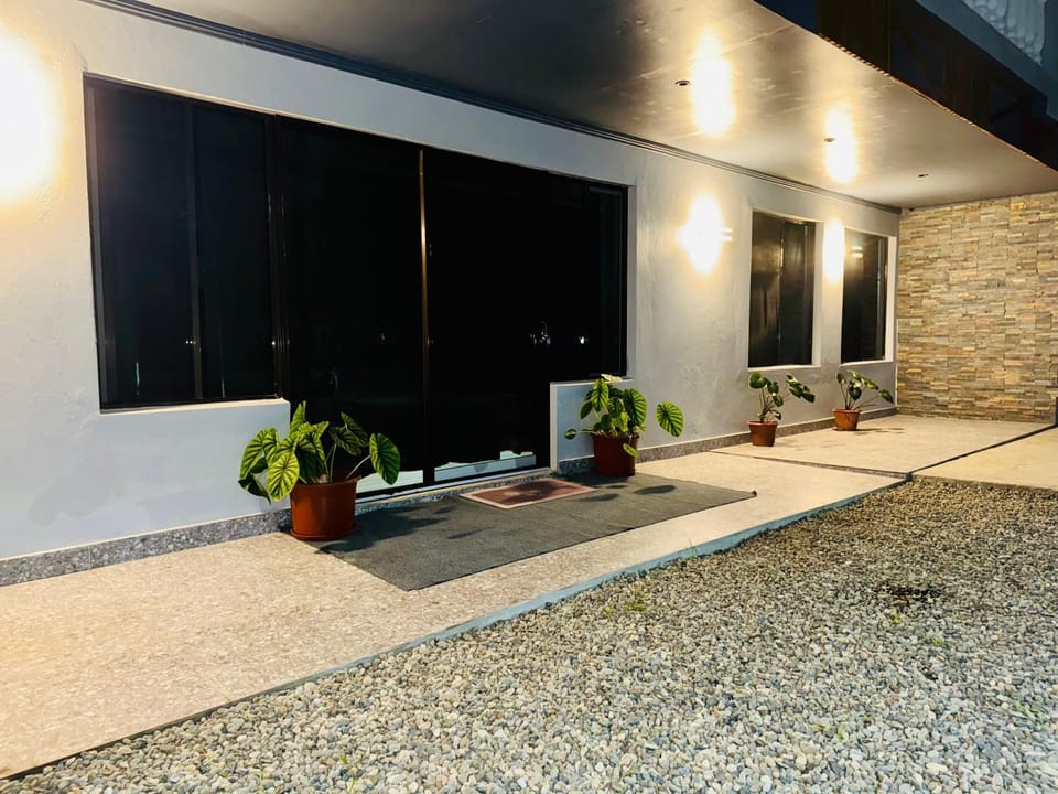 Night, Garden, Garden view