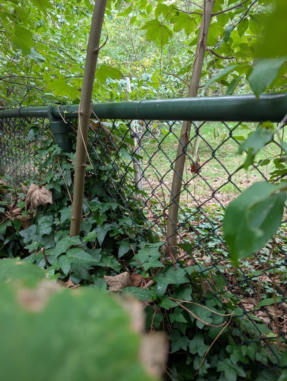 Heerlijk Huisje Heerle House in North Brabant (province)