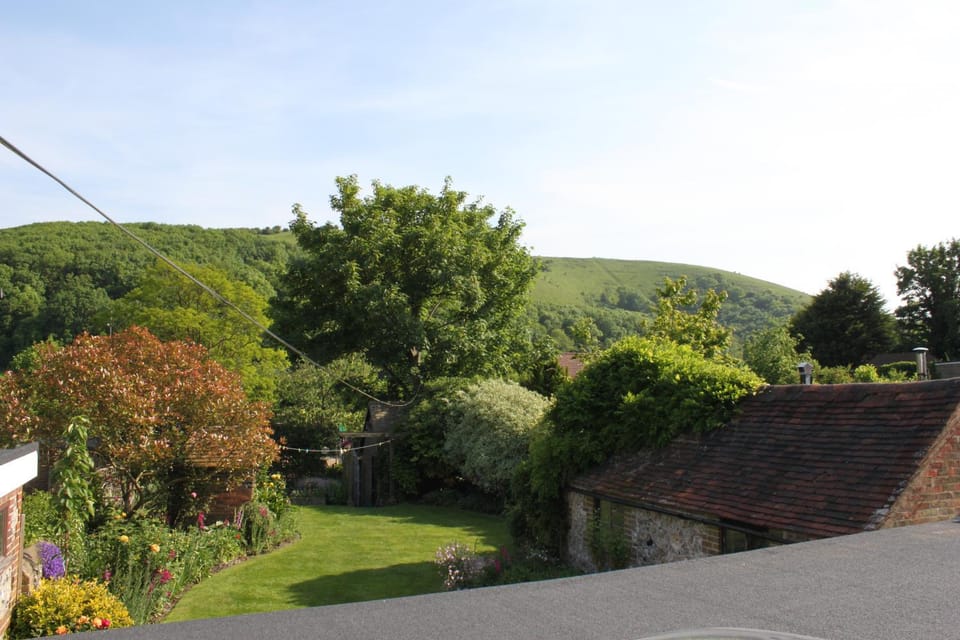 Summer, Garden view