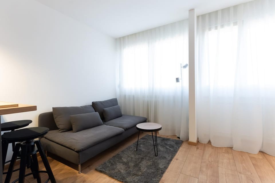 Sunny Danube Quay Luxe Studio Apartment in Belgrade
