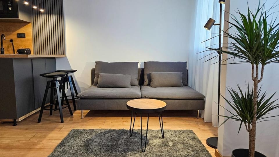 Sunny Danube Quay Luxe Studio Apartment in Belgrade