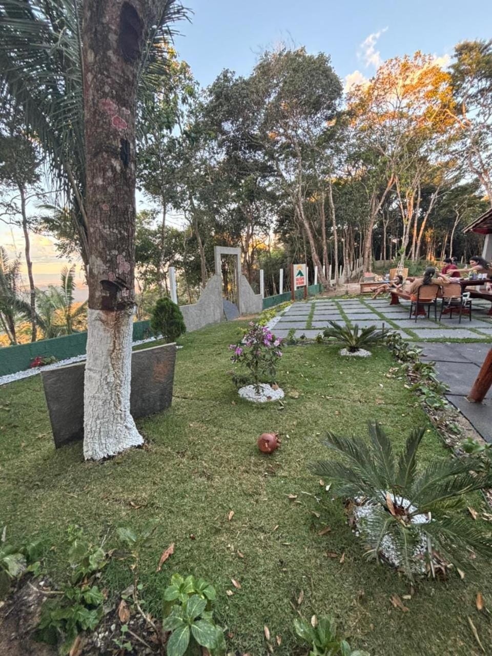 Natural landscape, Garden, Garden view