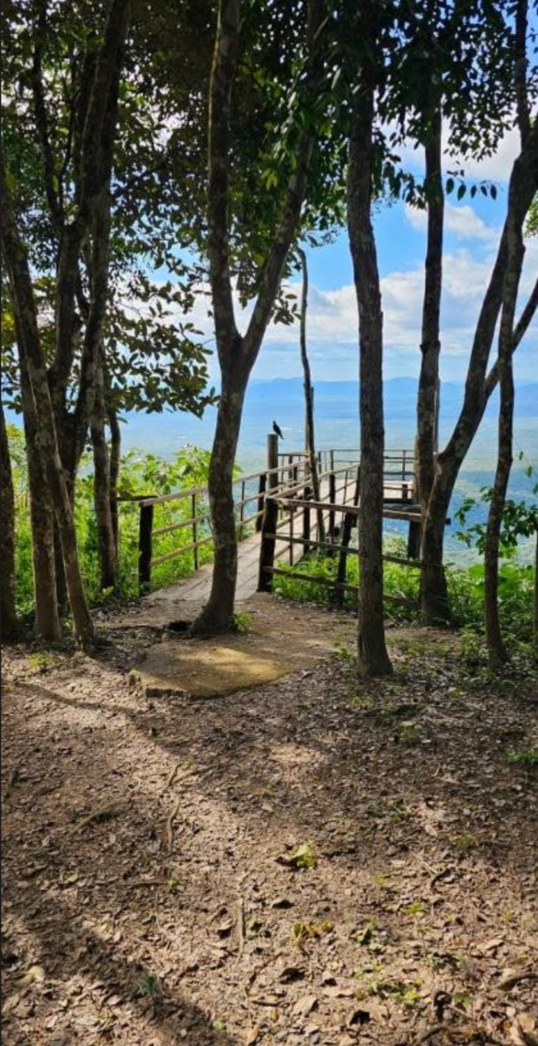 Nearby landmark, Hiking