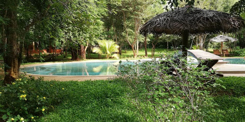 Garden, Garden view, Pool view, Swimming pool