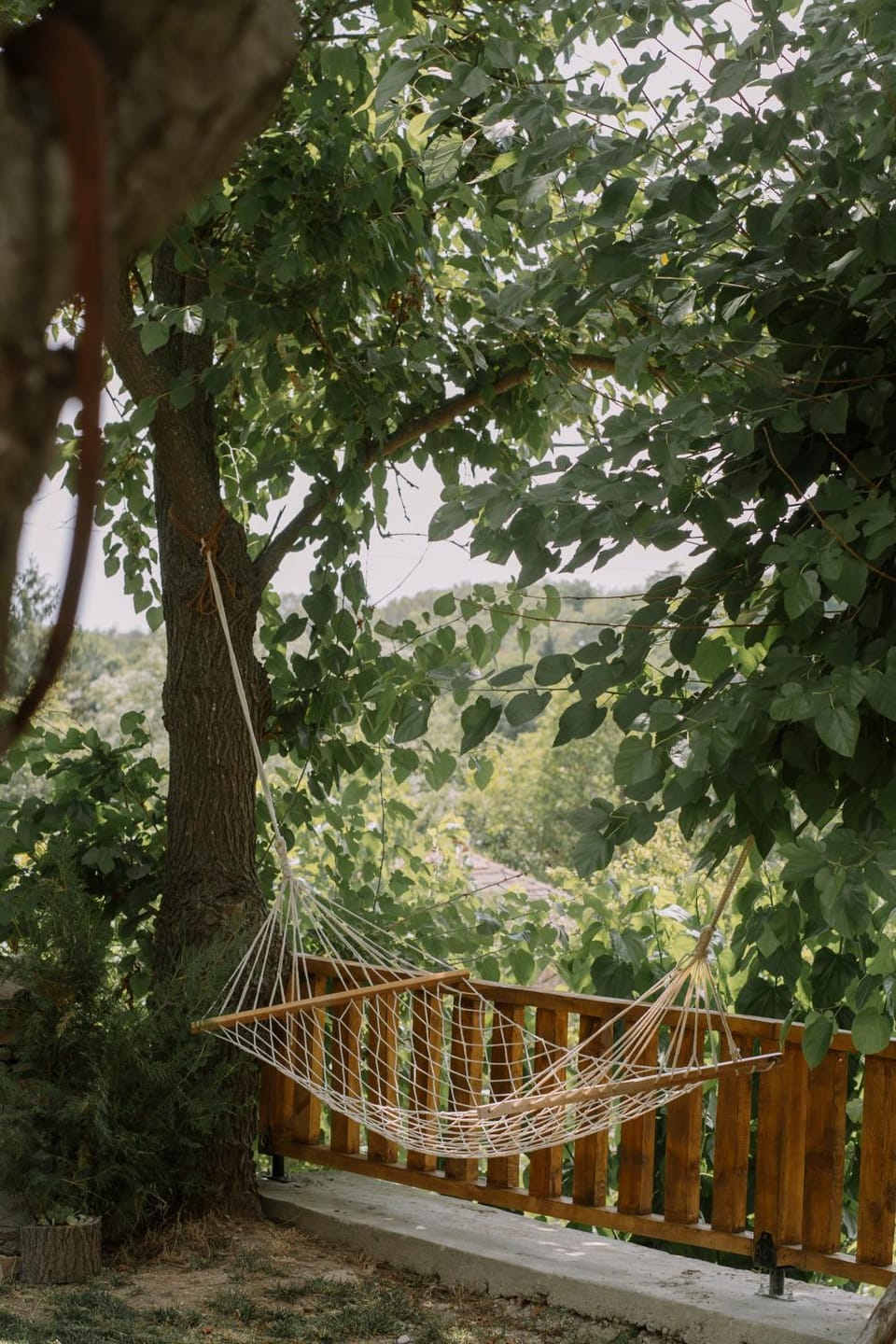Natural landscape, Garden