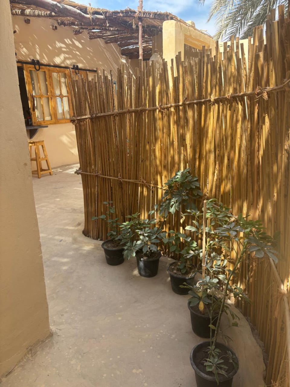 Day, Garden, Garden view