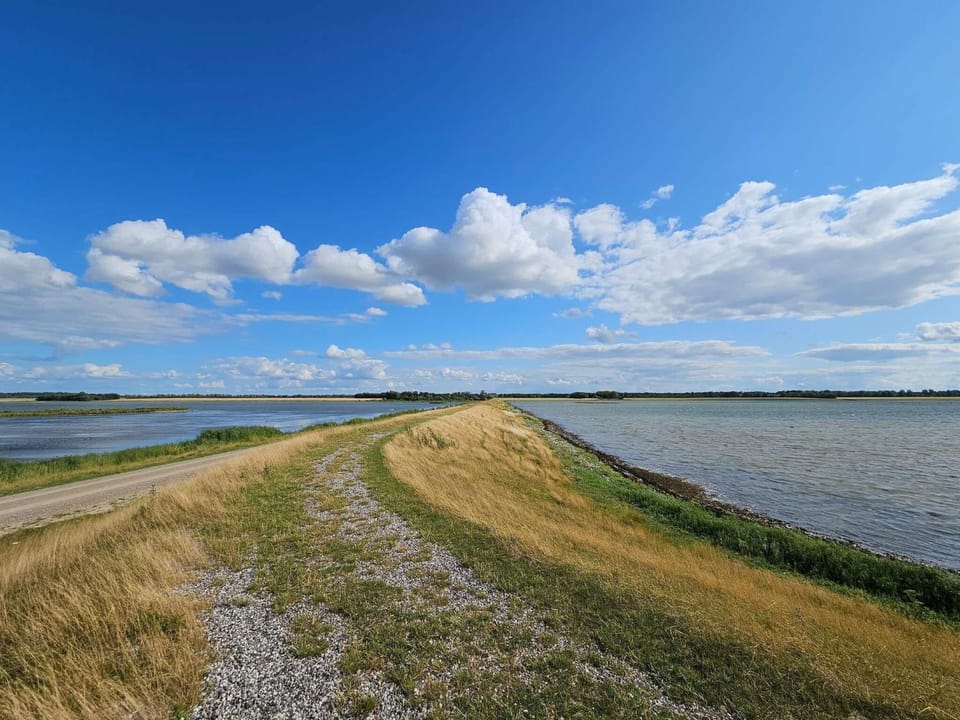 Lake view