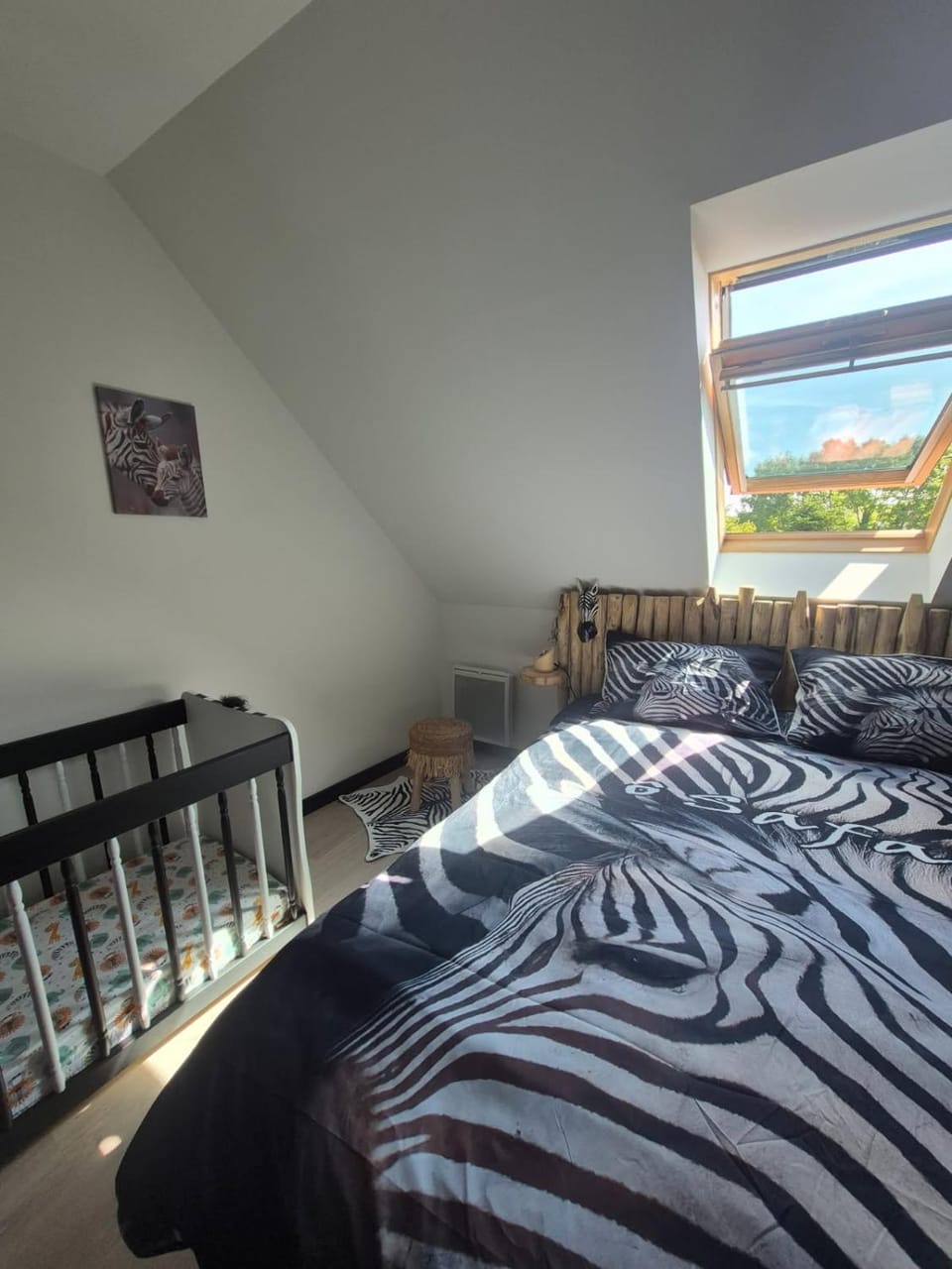 Bed, Photo of the whole room, Bedroom