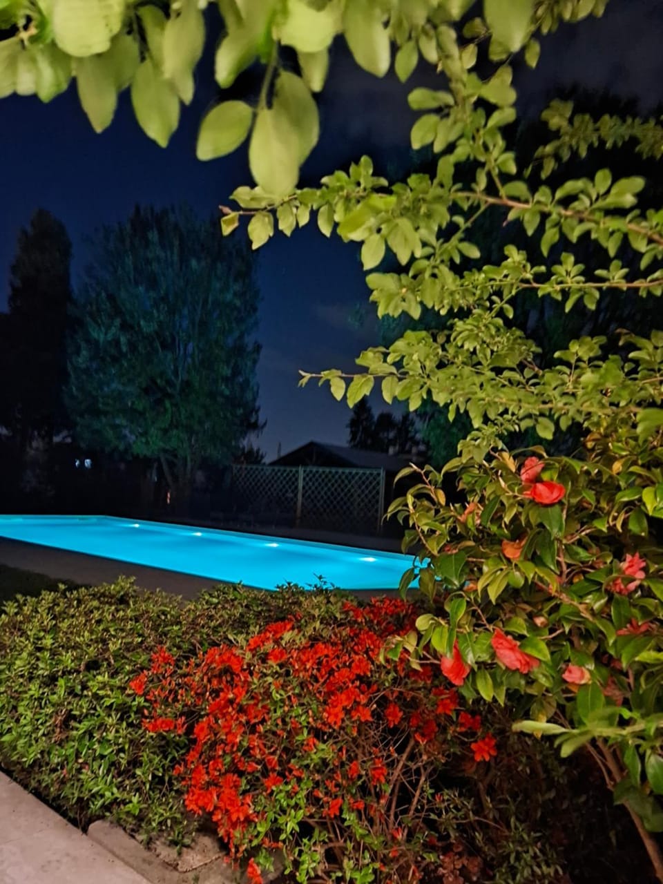 Pool view