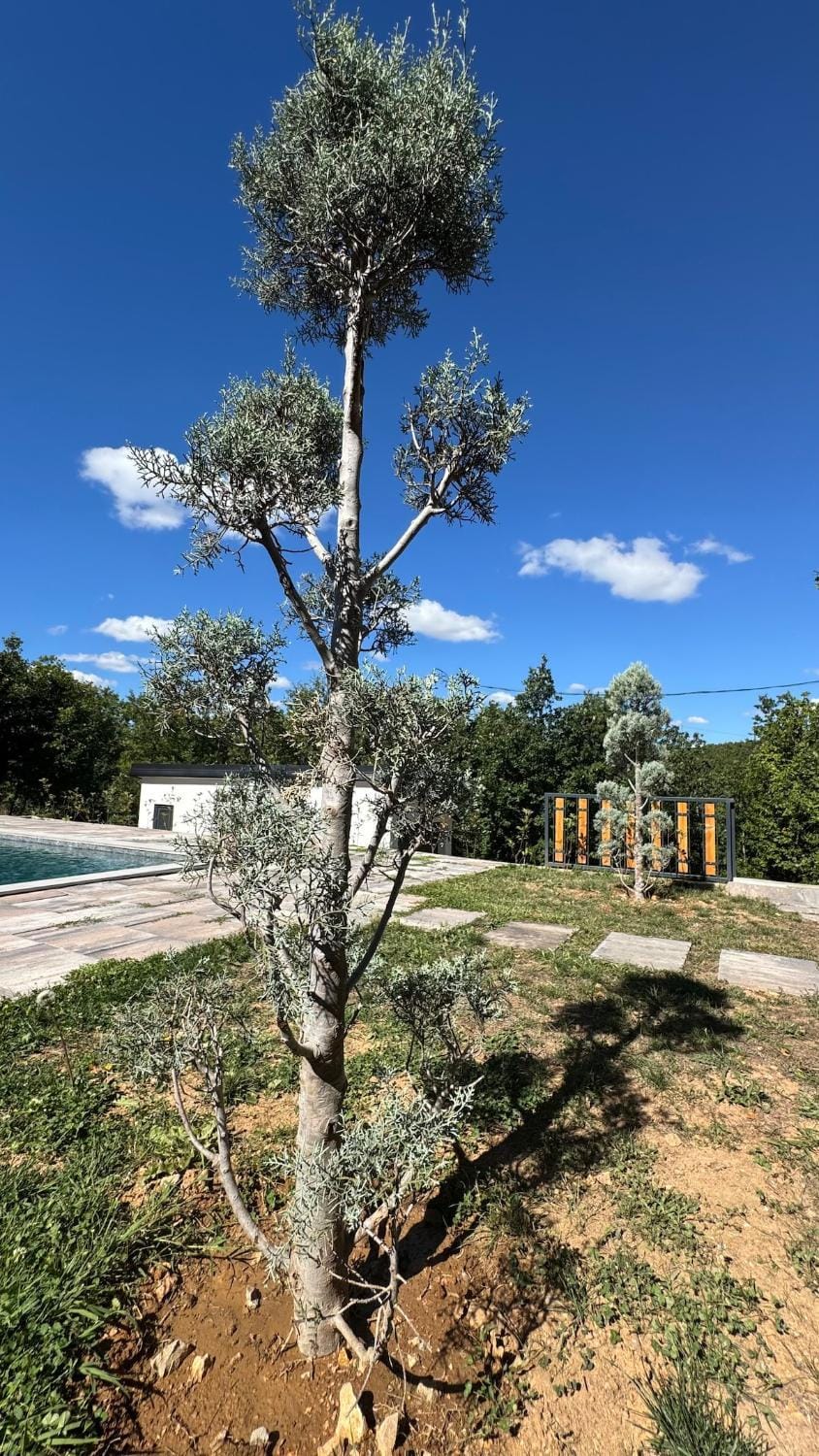 Villa B Villa in Serbia