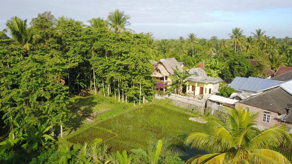 Property building, Neighbourhood, Bird's eye view