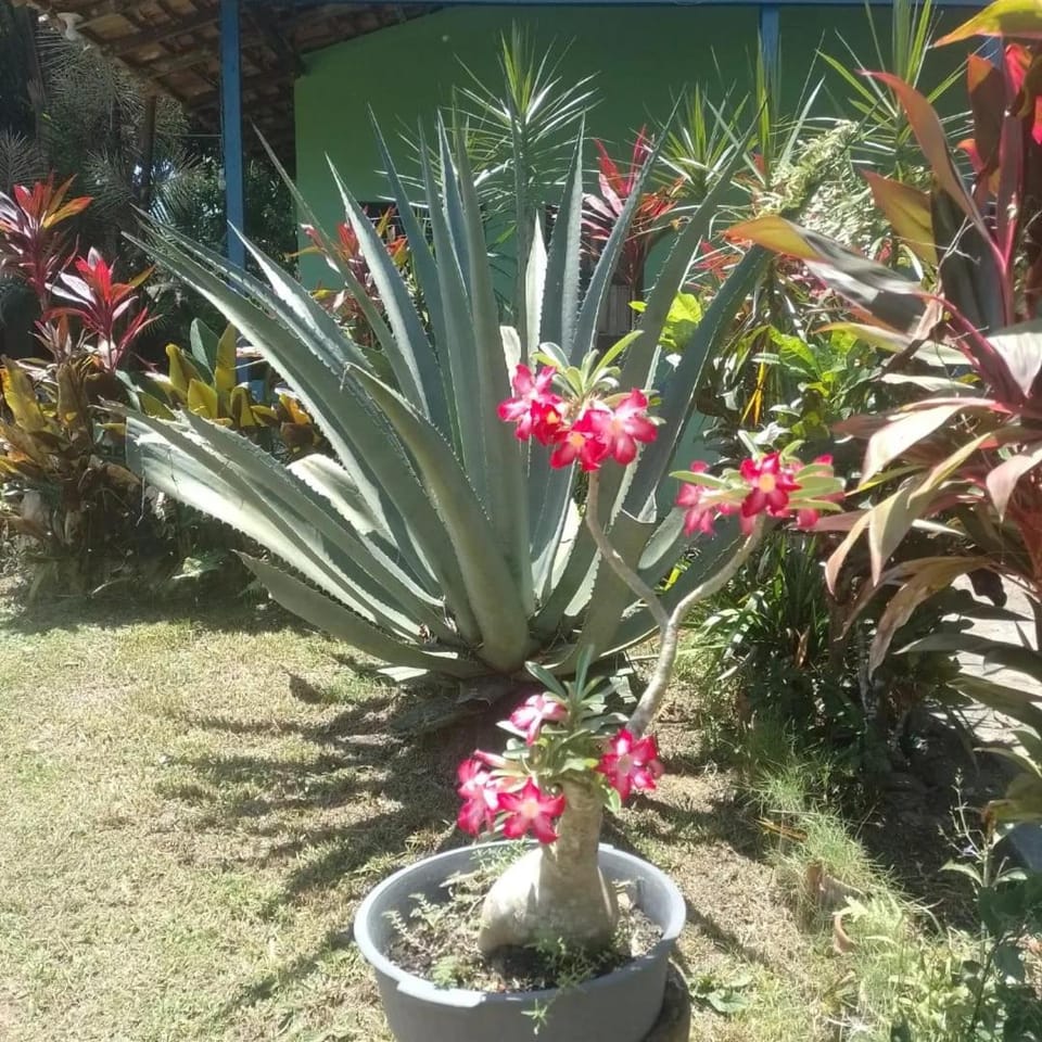 pousada Rios, ilha de Cotijuba, praia Farol Hotel in State of Maranhão, Brazil