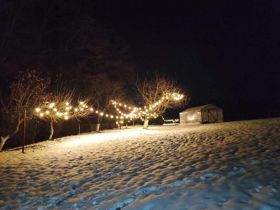 Night, Winter