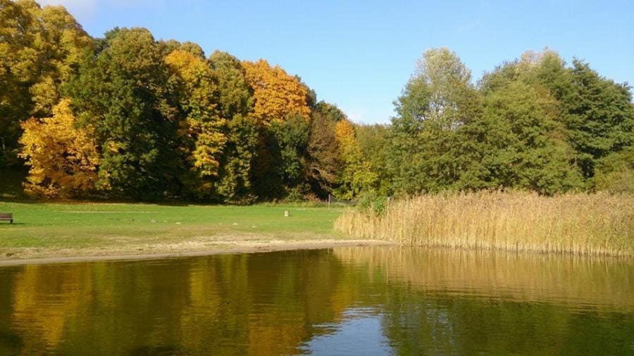 Ferien am Goldberger See Apartment in Mecklenburg-Vorpommern, Germany