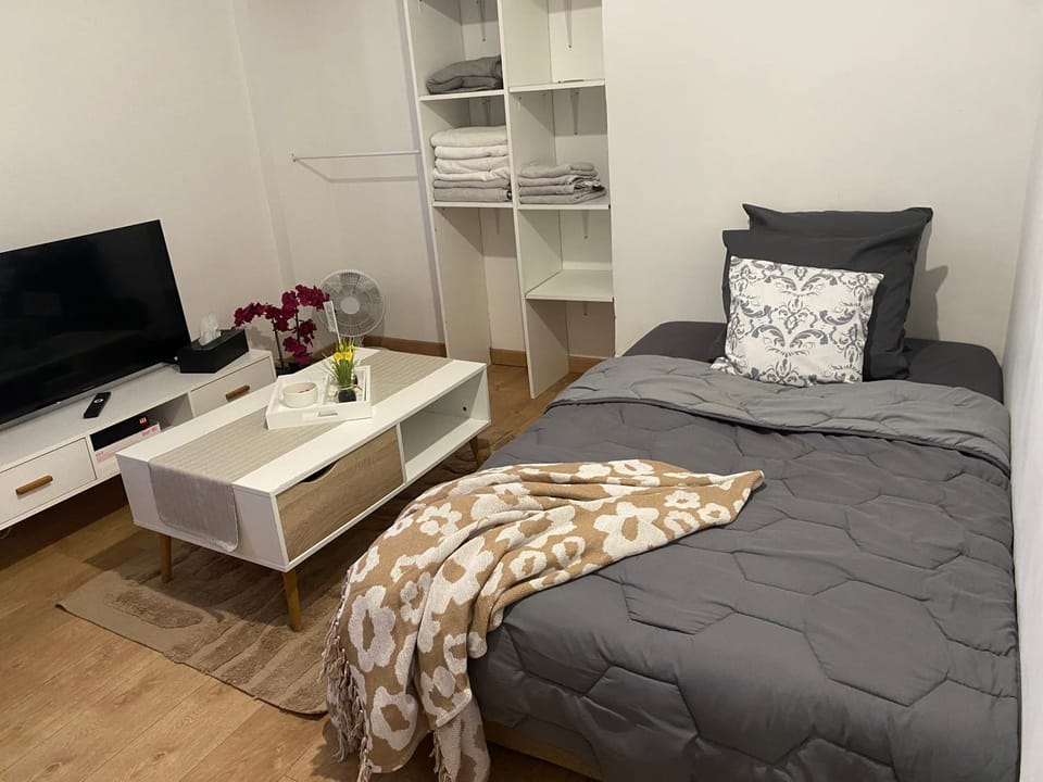 Charmant T2 Nice proche promenade des anglais Apartment in Nice