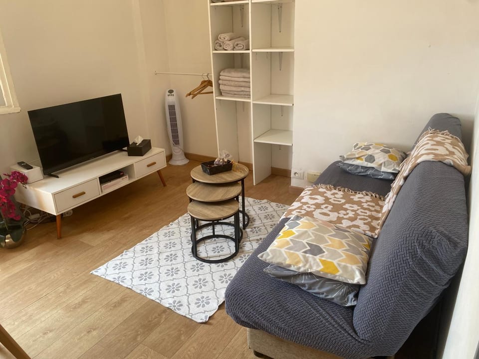 Charmant T2 Nice proche promenade des anglais Apartment in Nice
