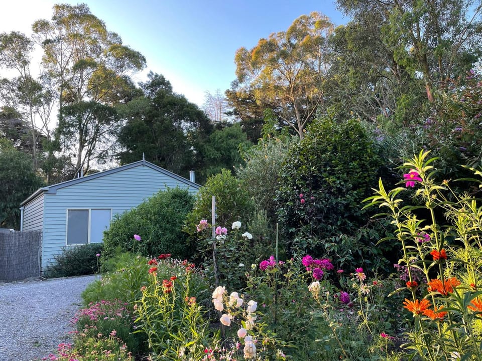 Property building, Spring, Garden, View (from property/room), Garden view