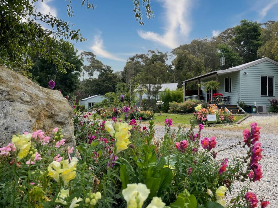 Natural landscape, Garden view
