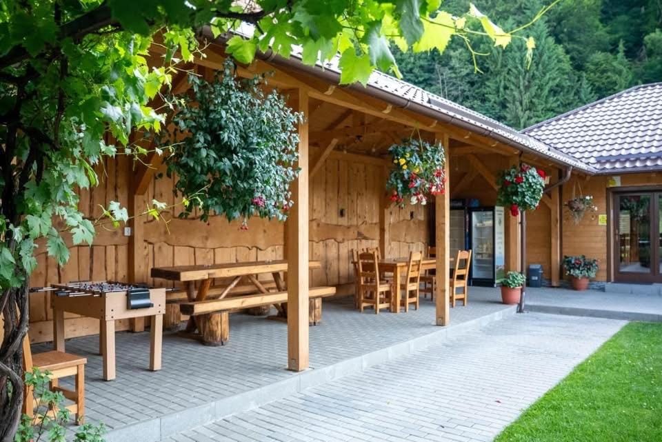 Pensiunea Alina Bed and Breakfast in Brașov County