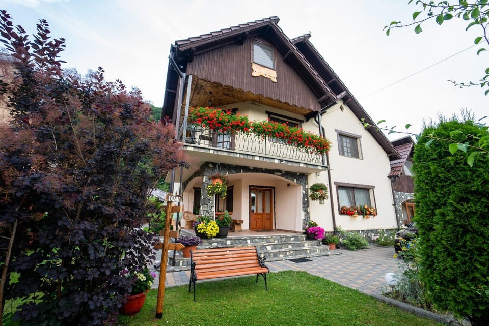 Pensiunea Alina Bed and Breakfast in Brașov County
