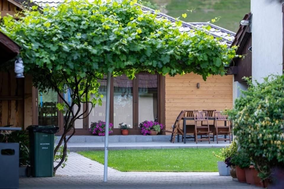 Pensiunea Alina Bed and Breakfast in Brașov County
