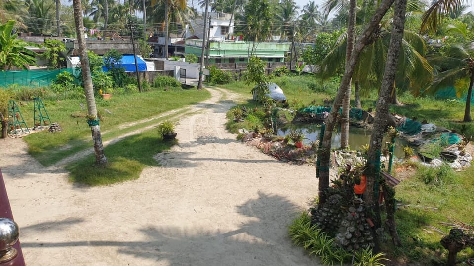 Day, Garden view