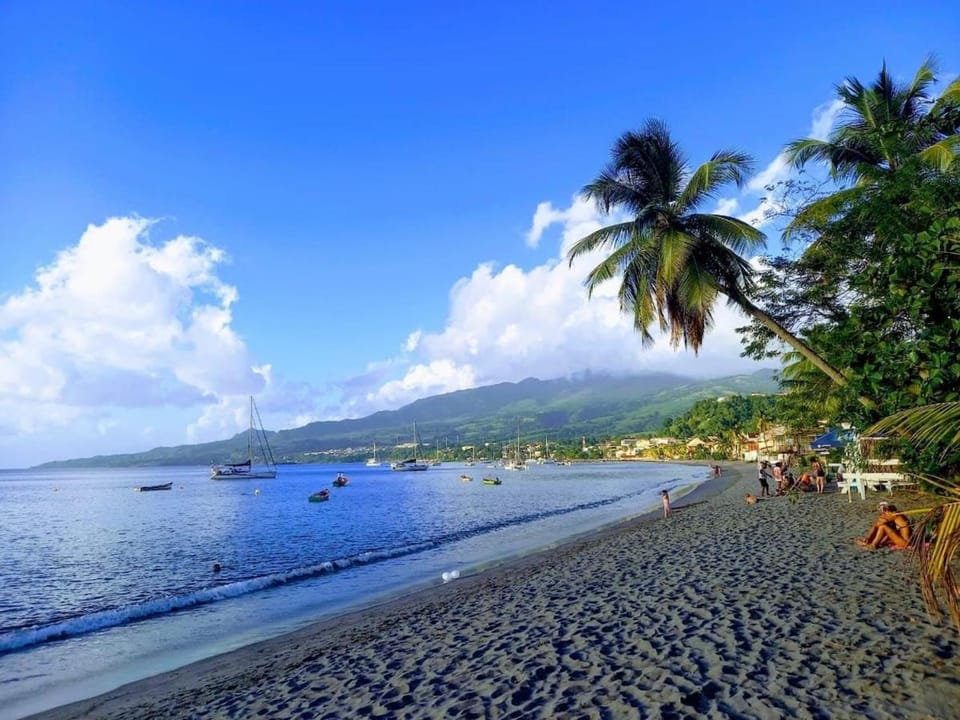 Nearby landmark, Day, Beach