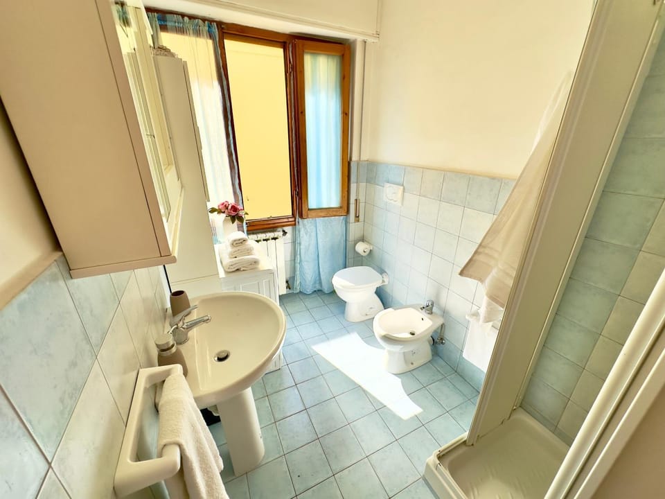 Shower, Toilet, Bathroom, bidet, towels