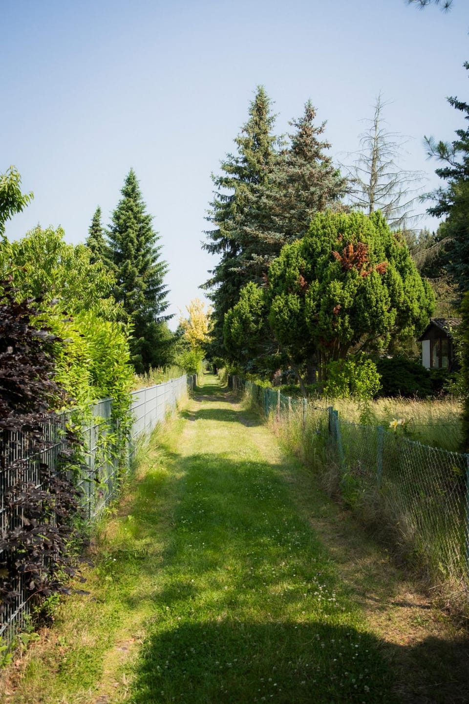 Natural landscape
