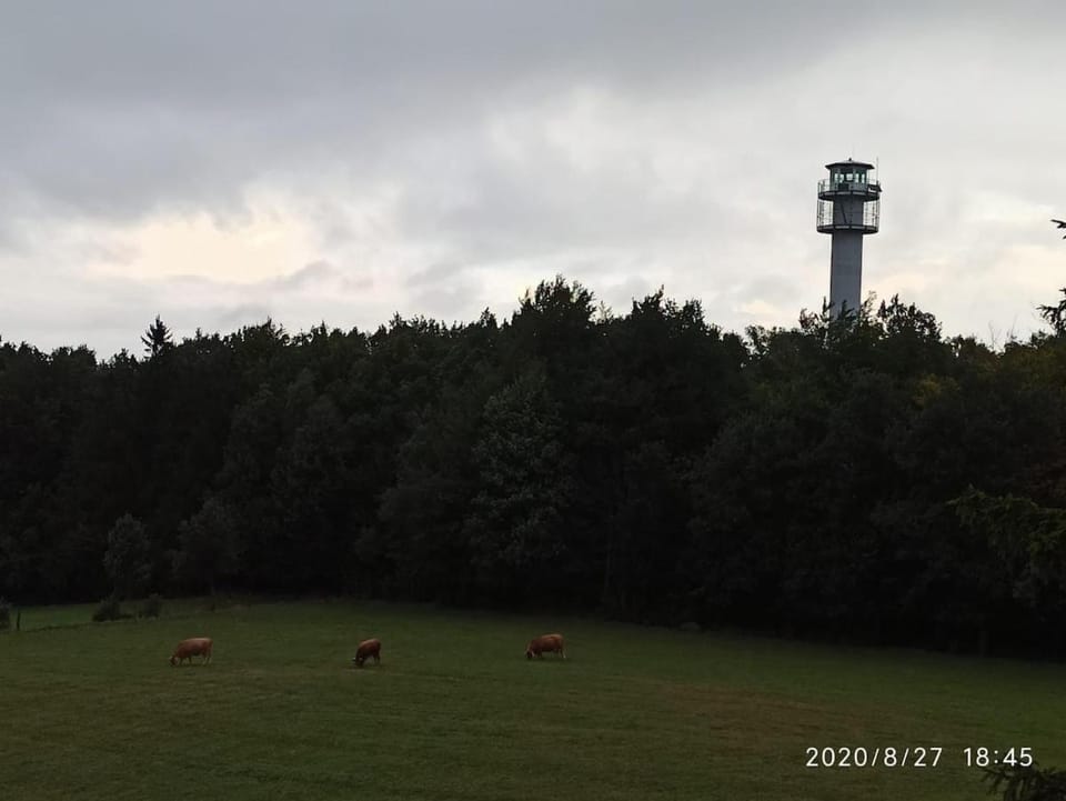 Dom na Końcu Świata Ostrowite Sauna i Ruska Bania House in Masovian Voivodeship