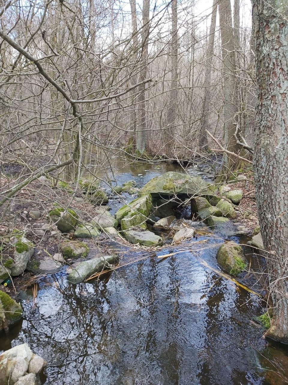 Dom na Końcu Świata Ostrowite Sauna i Ruska Bania House in Masovian Voivodeship