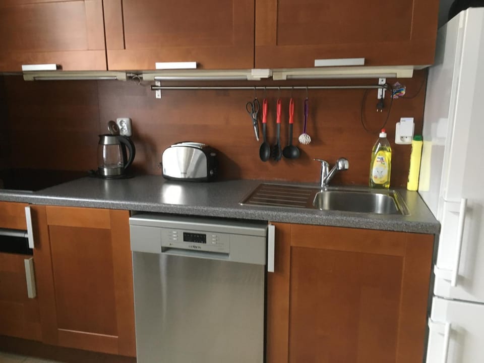 Kitchen or kitchenette, dishwasher, stove, toaster