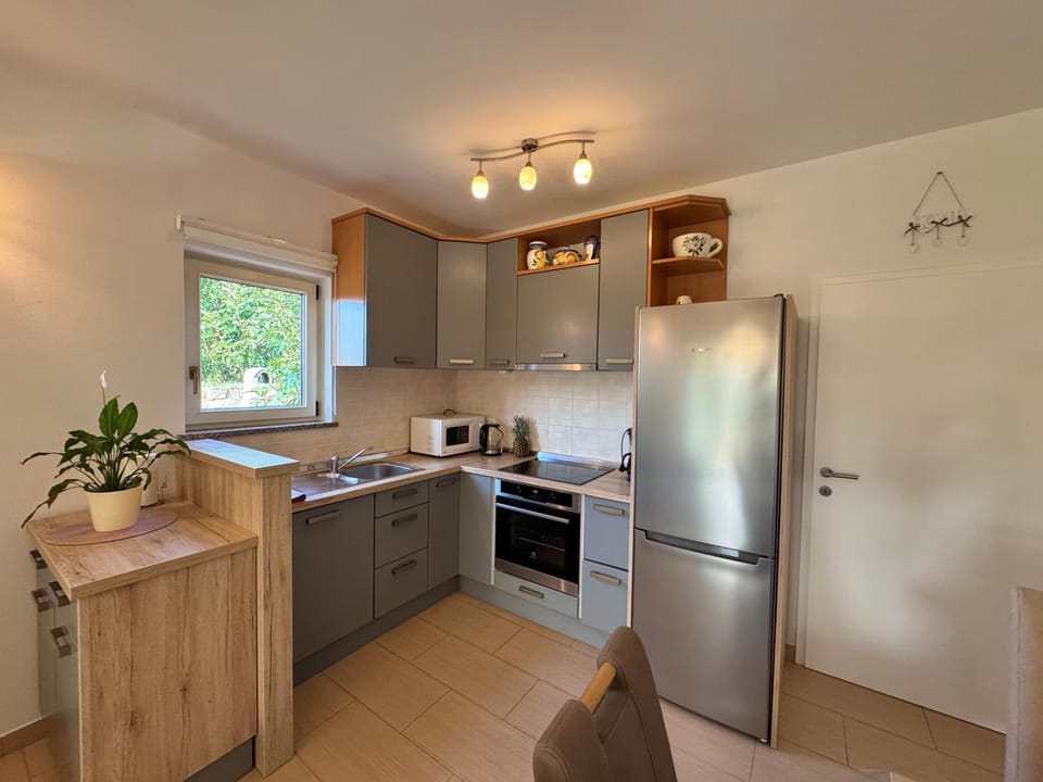 Kitchen or kitchenette, dishwasher, oven