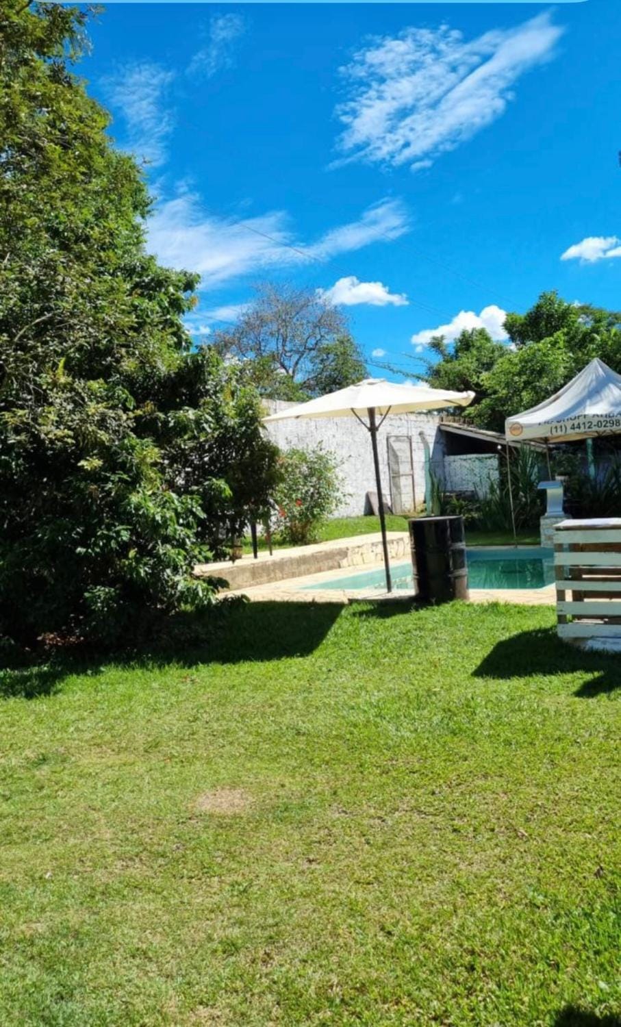 Day, Natural landscape, Garden, Garden view, Pool view, Swimming pool