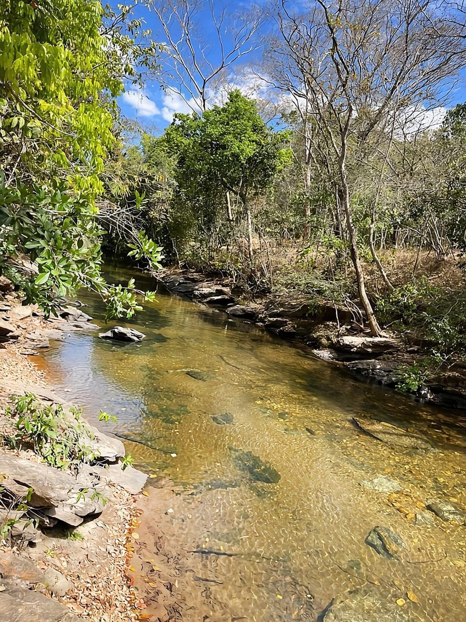 River view